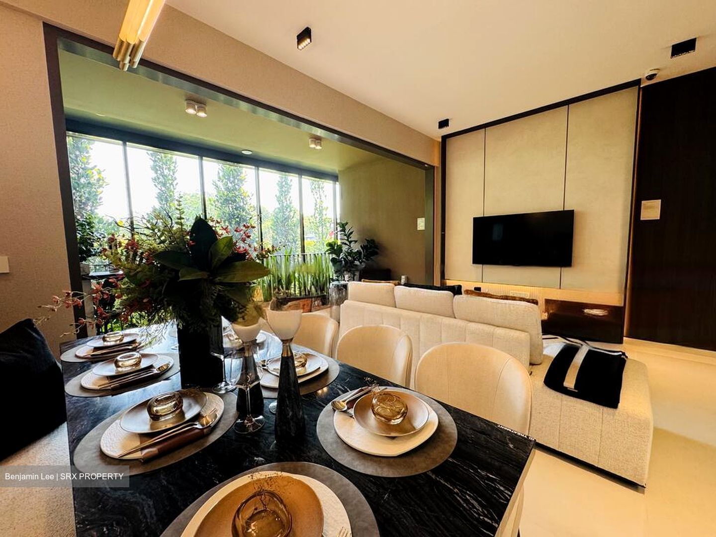 Kassia (D17), Condominium #454822741